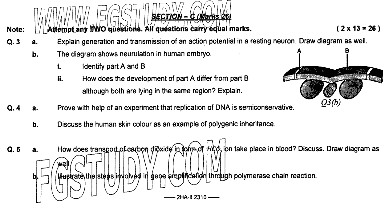 12th Class Biology Past Paper 2023 Federal Board Islamabad Subjective