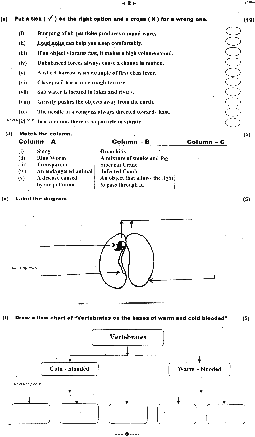 5th Class General Science Past Paper 2020 Federal Directorate Of Education Islamabad Objective