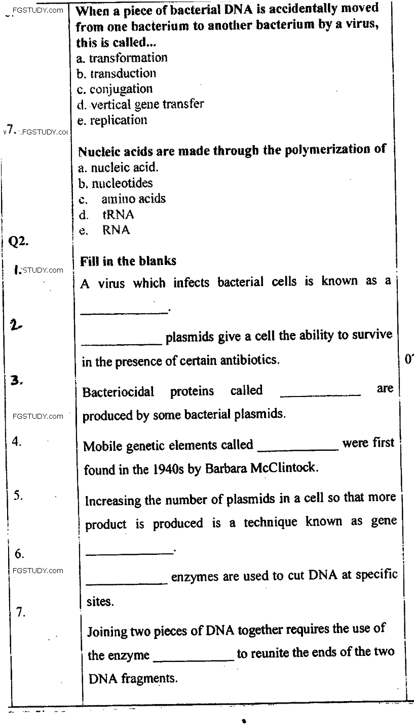 BA Part 2 Genetics 2 Molecular And Microbial Genetics Past Paper 2017 Punjab University Objective