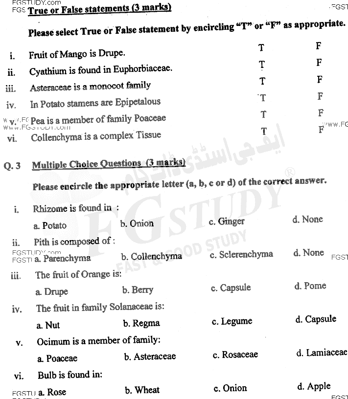 BSc Part 1 Botany 1 Plant Systematics Anatomy And Development Past Paper 2017 Punjab University Objective