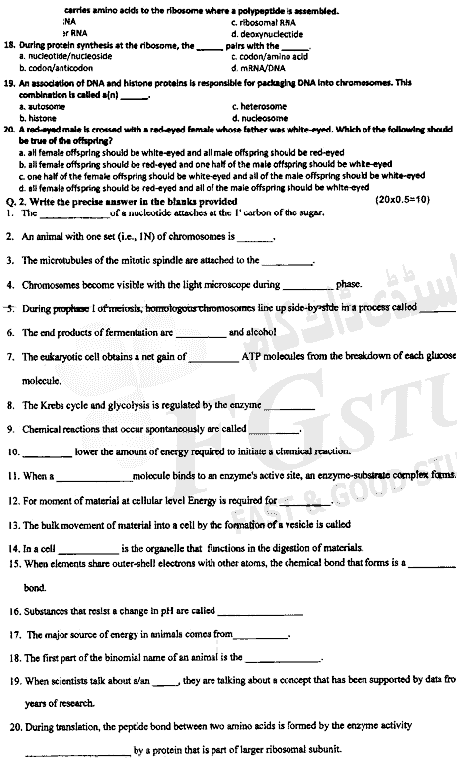 BSc Part 1 Zoology 1 Principles In Animal Life Past Paper 2020 Punjab University Objective