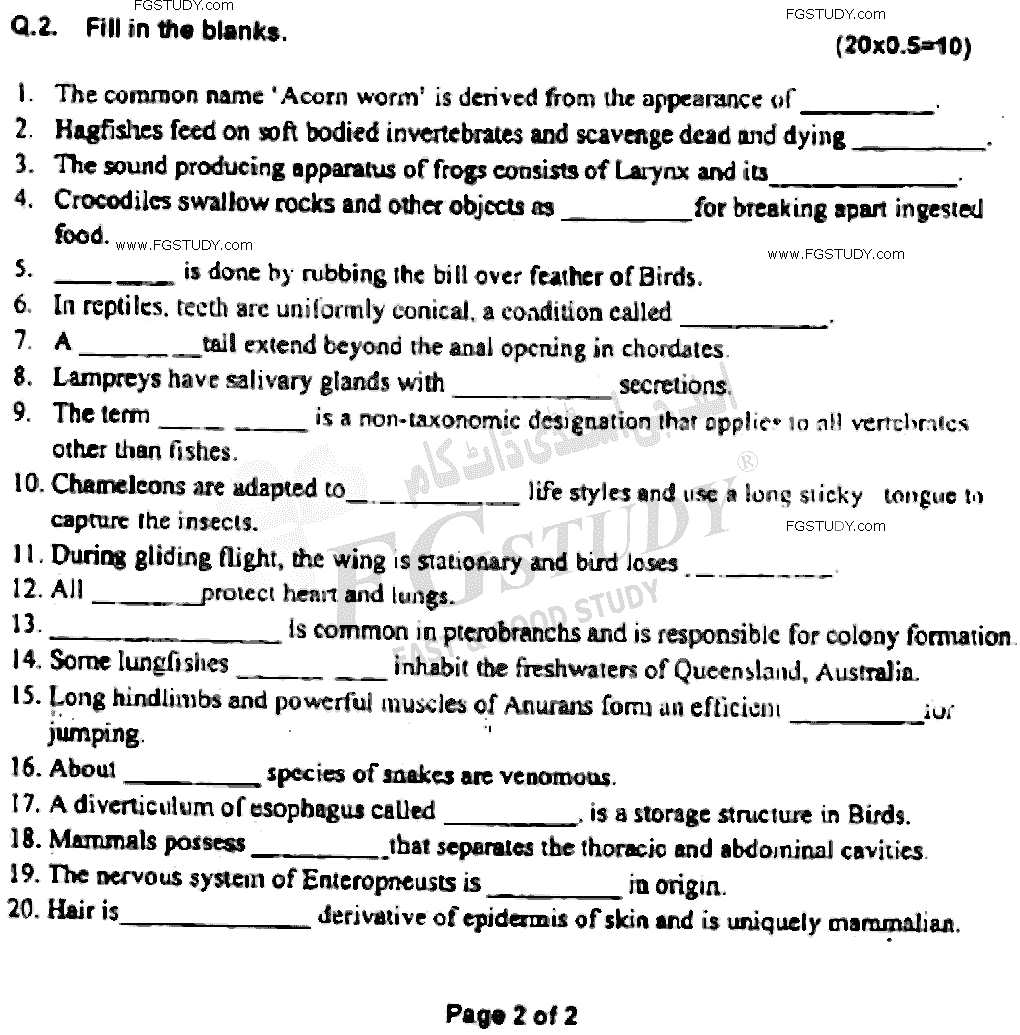 BSc Part 2 Zoology 2 Chordates Diversity Past Paper 2021 Punjab University Objective