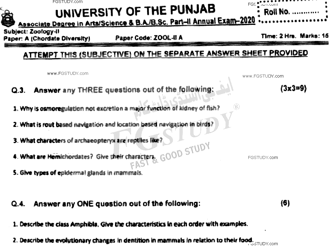 BSc Part 2 Zoology 2 Chordates Diversity Past Paper 2021 Punjab University Subjective