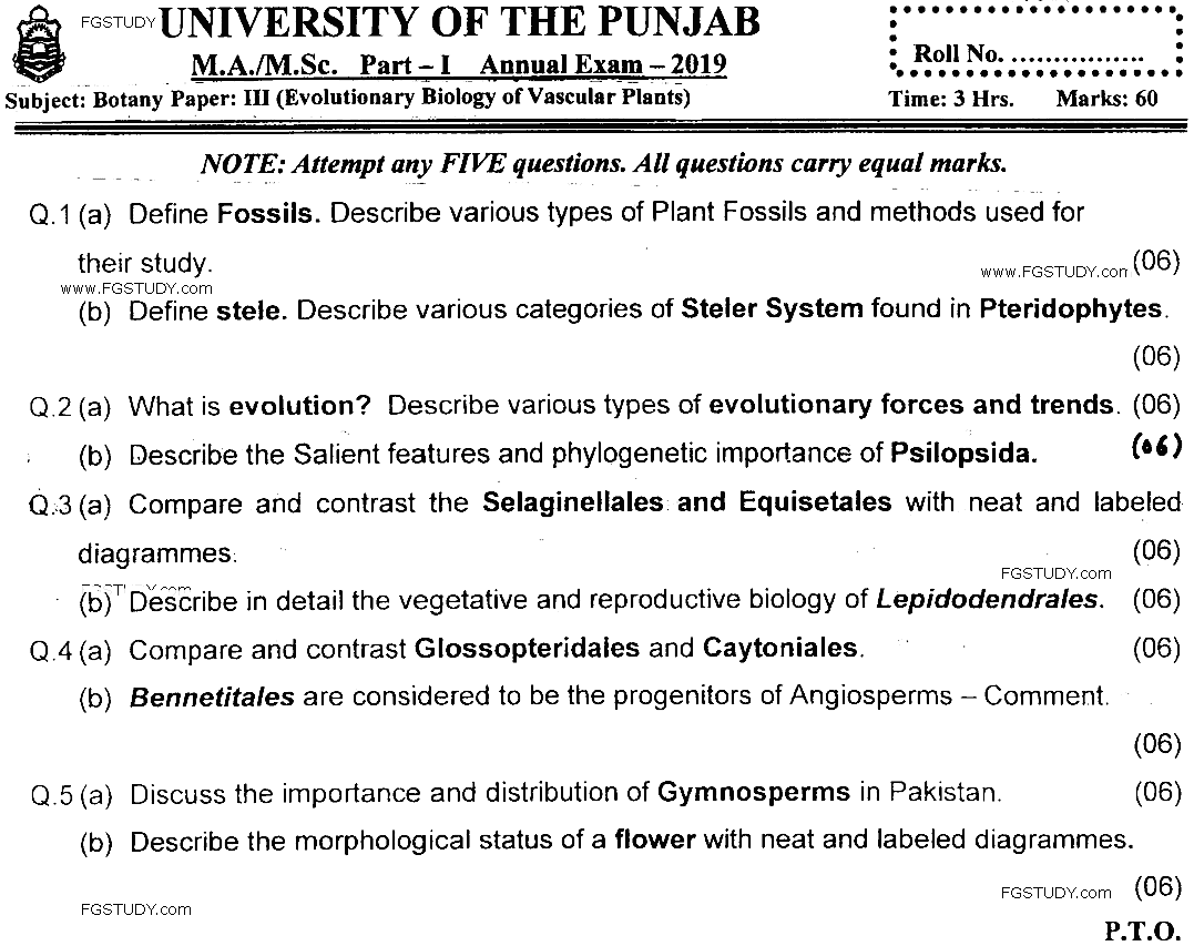 MSc Part 1 Botany Evolutionary Biology Of Vascular Plants Past Paper 2019 Punjab University Subjective