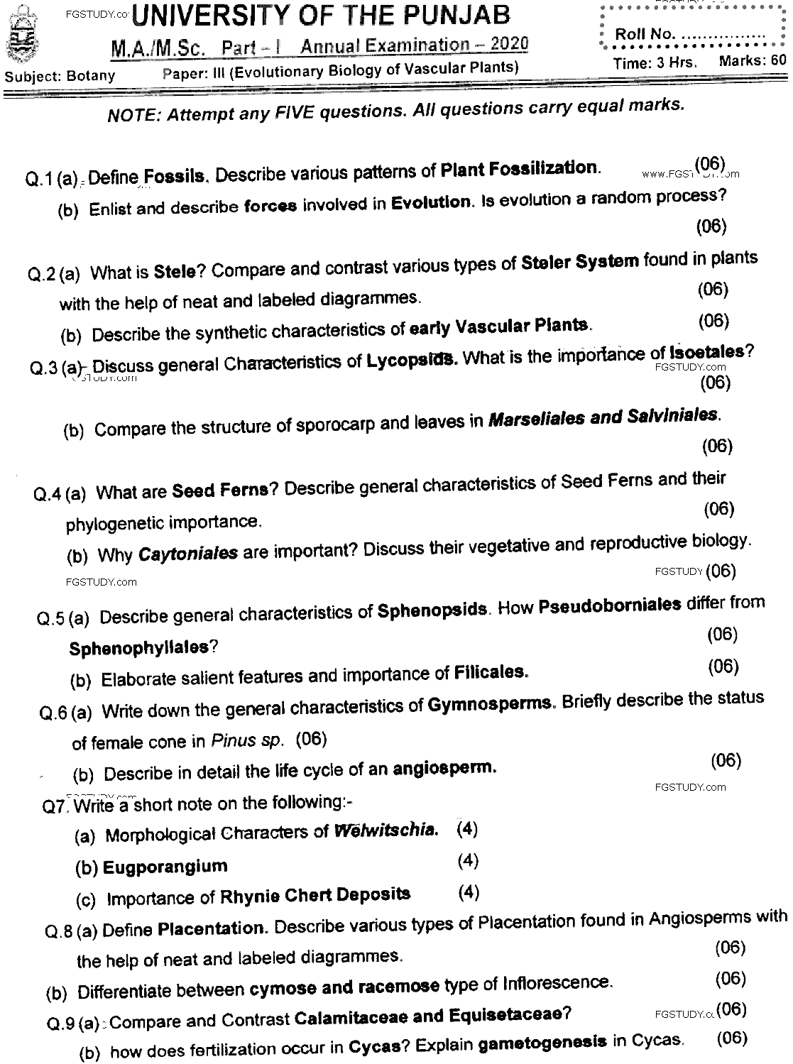 MSc Part 1 Botany Evolutionary Biology Of Vascular Plants Past Paper 2020 Punjab University Subjective