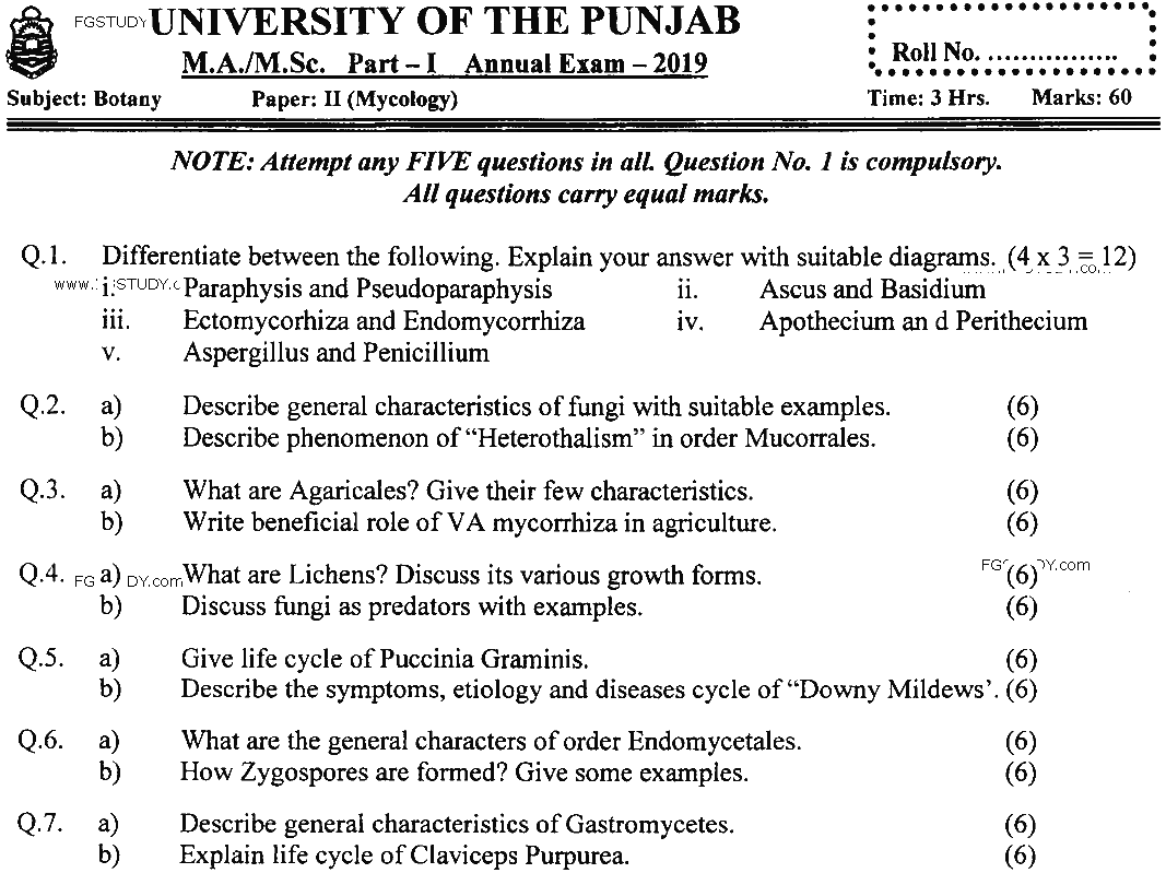 MSc Part 1 Botany Mycology Past Paper 2019 Punjab University Subjective