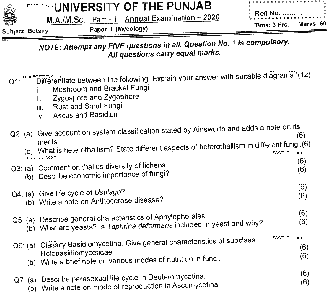 MSc Part 1 Botany Mycology Past Paper 2020 Punjab University Subjective