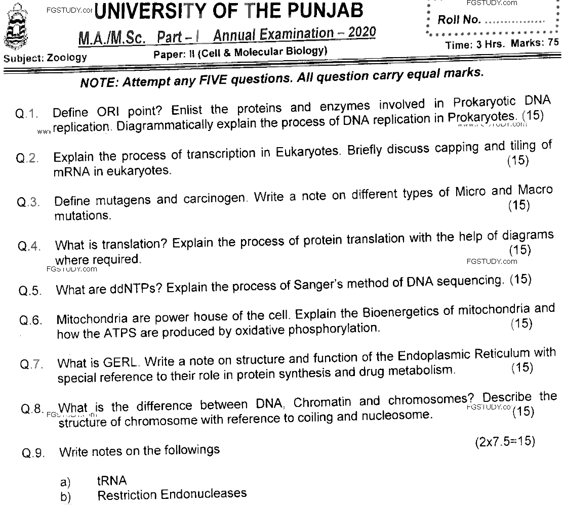 MSc Part 1 Zoology Cell And Molecular Biology Past Paper 2020 Punjab University Subjective