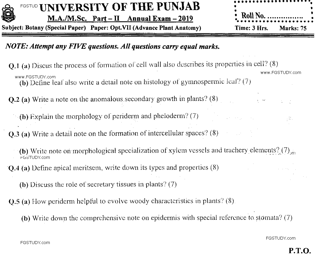 MSc Part 2 Botany Advance Plant Anatomy Past Paper 2019 Punjab University Subjective