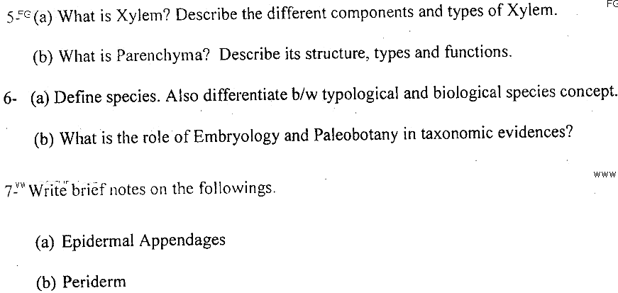 MSc Part 2 Botany Plant Anatomy And Taxonomy Of Angiosperms Past Paper 2019 Punjab University Subjective