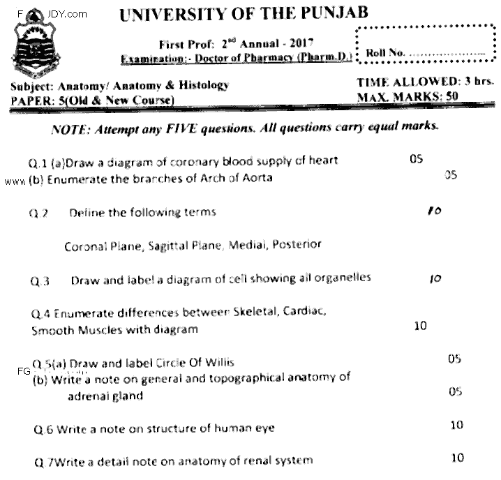 Doctor of Pharmacy Anatomy Past Paper 2017 Punjab University Subjective