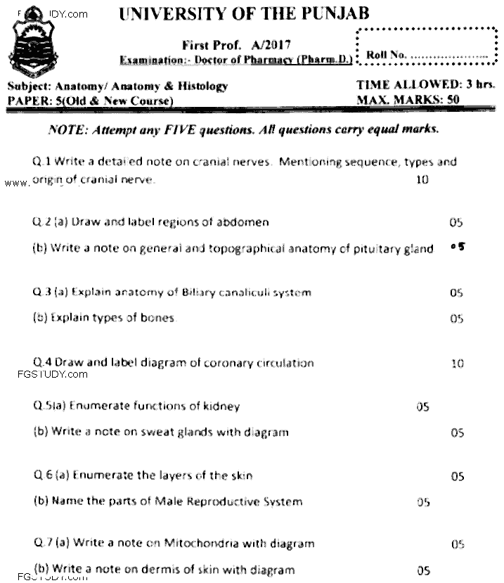 Doctor of Pharmacy Anatomy Past Paper 2017 Punjab University Subjective