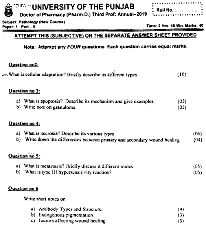 Doctor of Pharmacy Pathology Past Paper 2019 Punjab University Subjective