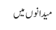 میدانوں میں