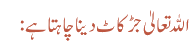 اللہ تعالیٰ جڑ کاٹ دینا چاہتا ہے: