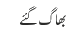 بھاگ گئے