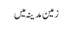 زمین مدینہ میں 