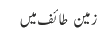 زمین  طائف میں 