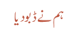 ہم نے ڈبو دیا 