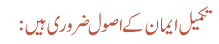 تکمیل ایمان کے اصول ضرور ی ہیں: