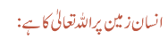 انسان زمین پر اللہ تعالیٰ کا ہے: