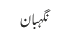 نگہبان
