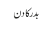 بدر کا دن