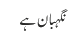 نگہبان ہے