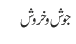 جوش و خروش