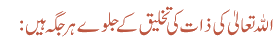 اللہ تعالیٰ کی ذات کی تخلیق کے جلوے ہر جگہ ہیں: