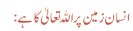 انسان زمین پر اللہ تعالیٰ کا ہے: