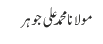 مولانا محمد علی جوہر
