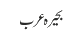 بحیرہ عرب
