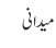 میدانی