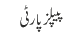 پیپلز پارٹی