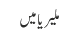 ملیریا میں 