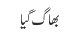 بھاگ گیا