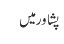پشاور میں 