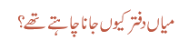 میاں دفتر کیوں جاناچاہتے تھے ؟