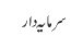 سرمایہ دار