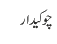 چوکیدار