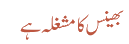 بھینس کا مشغلہ ہے
