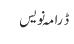 ڈرامہ نویس