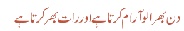 دن بھر الو آرام کرتا ہے اور رات بھر کرتا ہے