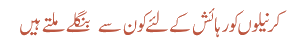 کرنیلوں کو رہائش کے لئے کون سے  بنگلے ملتے ہیں