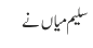 سلیم میاں نے
