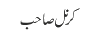 کرنل صاحب