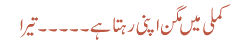 کملی میں مگن اپنی رہتا ہے ۔۔۔۔۔ تیرا