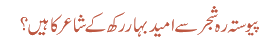پیوستہ رہ شجر سے امید بہار رکھ کے شاعر کا ہیں؟