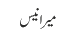 میر انیس